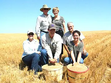 bushel of wheat.