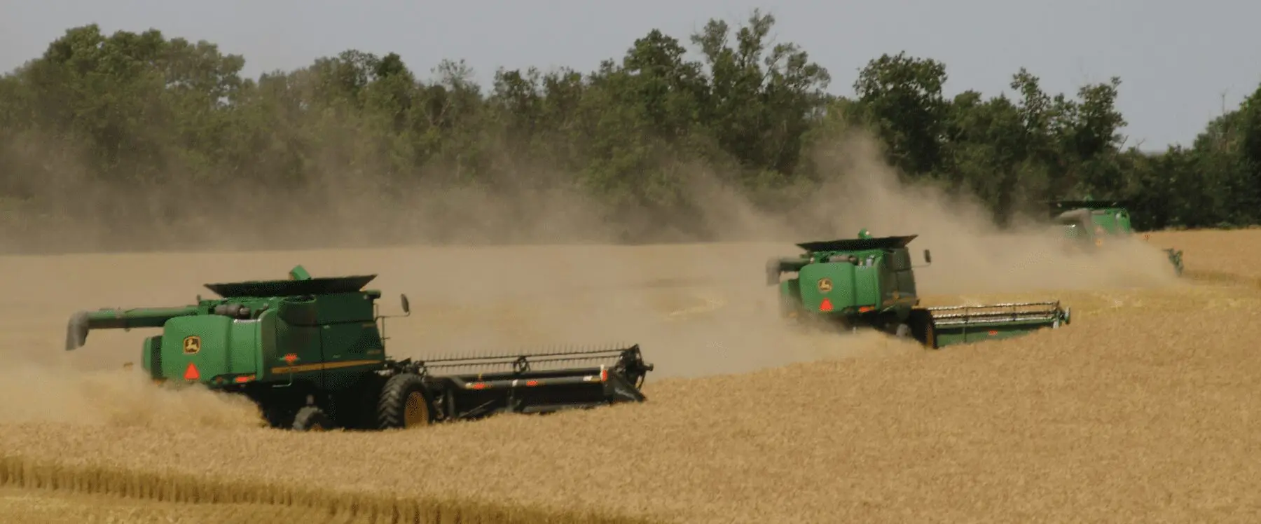 Harvest at Kejr Family Farms.