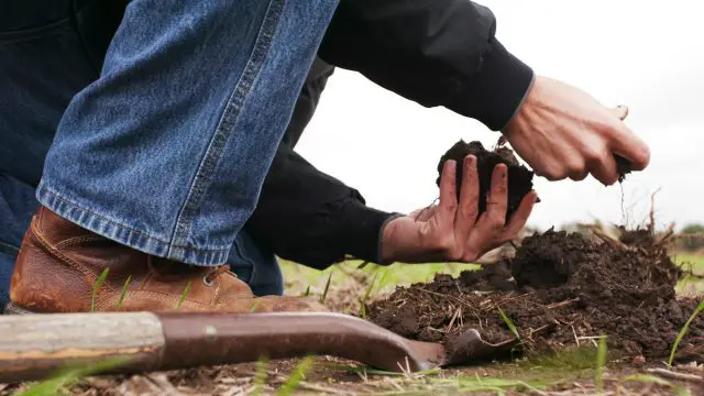 farmer digging in field, achieving a sustainable future through new innovations in farming