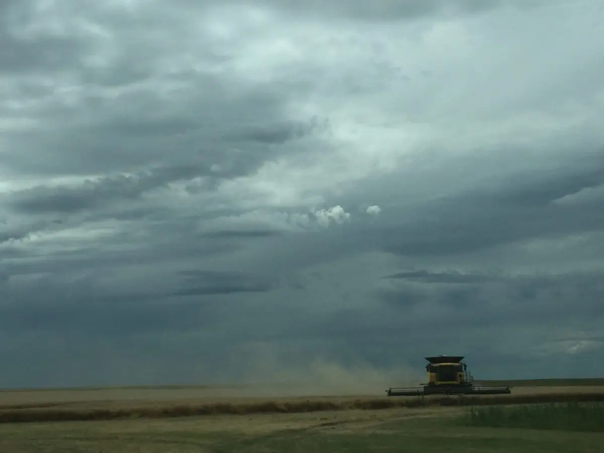 Combine in wheat during harvest with thunderstorm clouds behind.