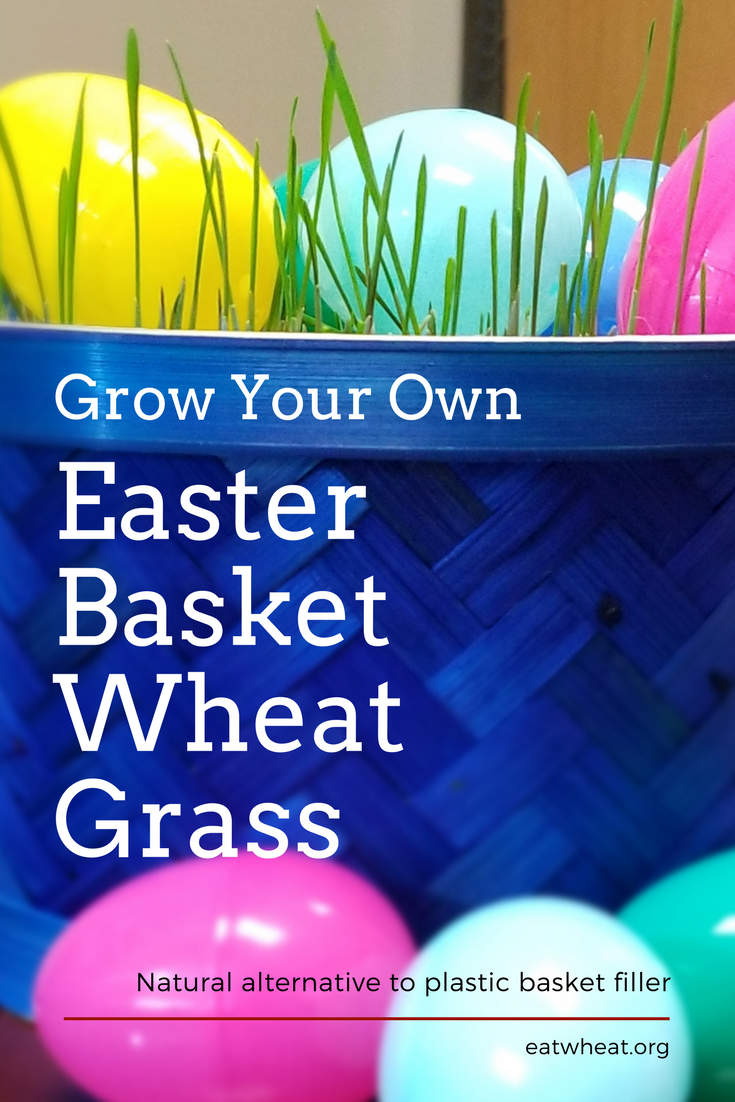Photo: Grow Your Own Easter Basket filler with wheat grass.