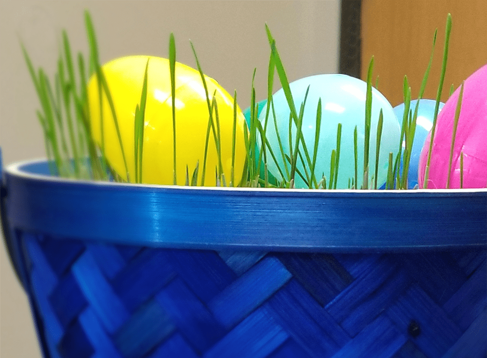 Wheat Grass Easter Basket | EatWheat