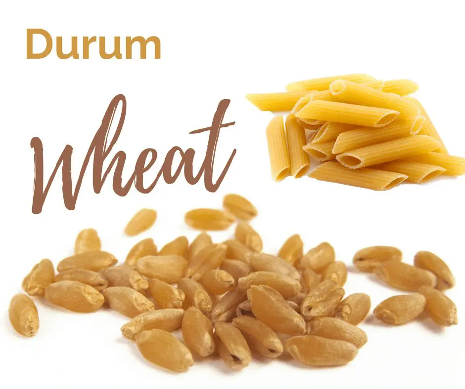 Durum wheat is one of the six classes of US wheat.