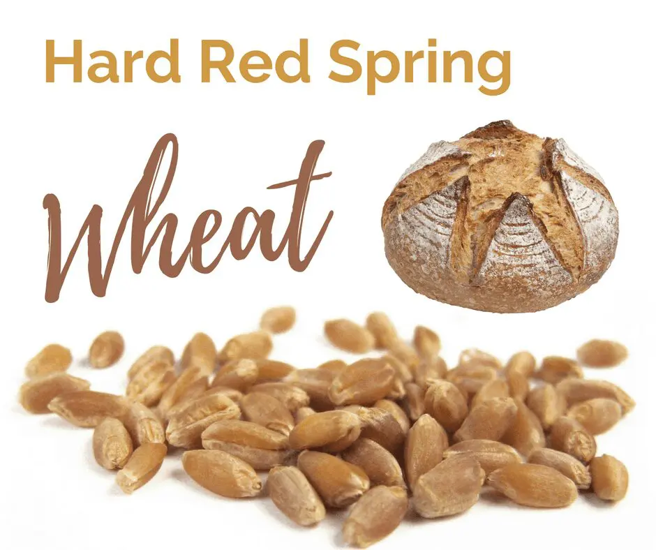 Hard Red Spring Wheat is one of the six classes of US wheat.