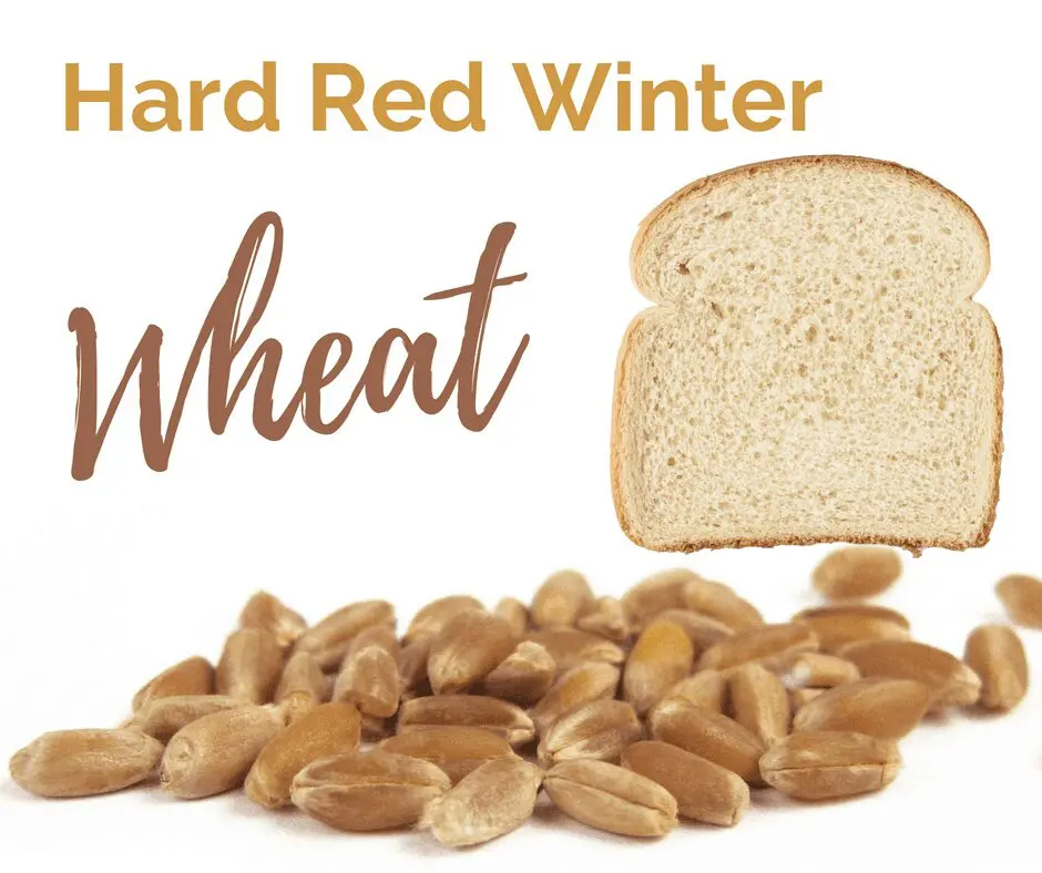 Hard Red Winter Wheat is one of the six classes of US wheat.