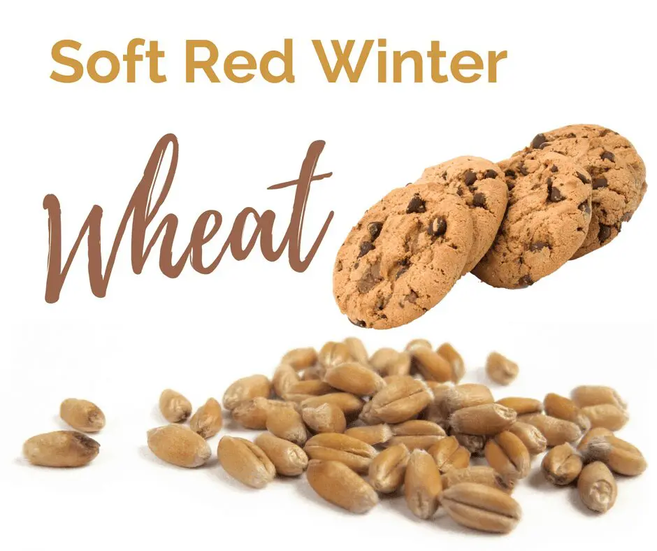 Soft Red Winter Wheat is one of the six classes of US Wheat