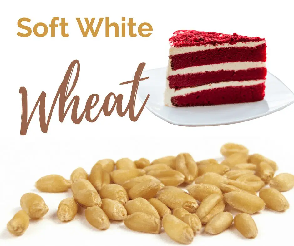 Soft White wheat is one of the six classes of US Wheat.
