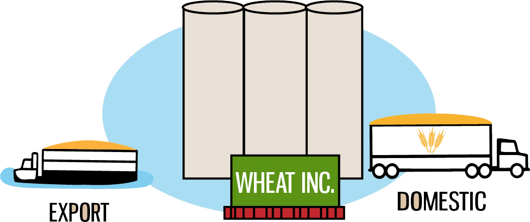 Image: Country elevators sell their grain to terminal elevators, which clean, separate and maintain the value of the grain. The grain is then sold to flour millers for domestic consumption, or it is loaded into ships bound for overseas markets.