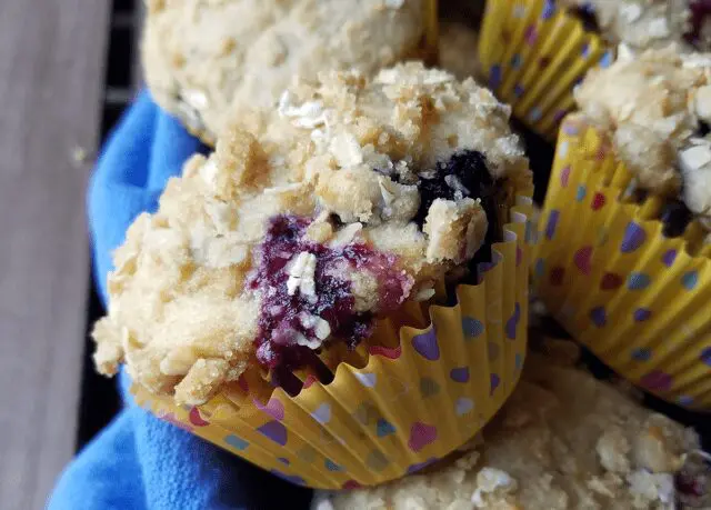 Photo: Blueberry muffins whole grain and protein rich.