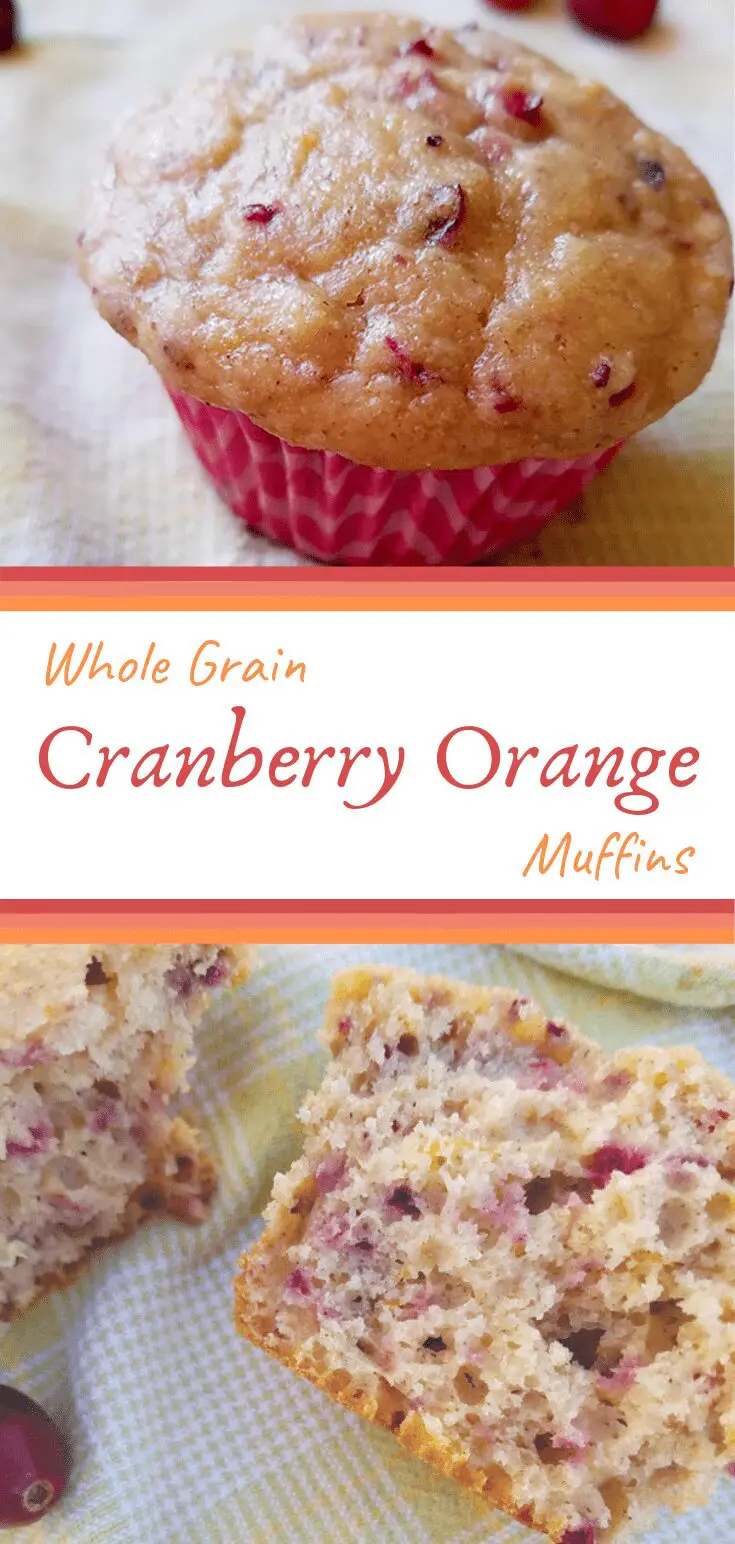 Start your day with these fluffy and tender muffins packed with 5 grams of protein and bursting with cranberry and orange flavor.
