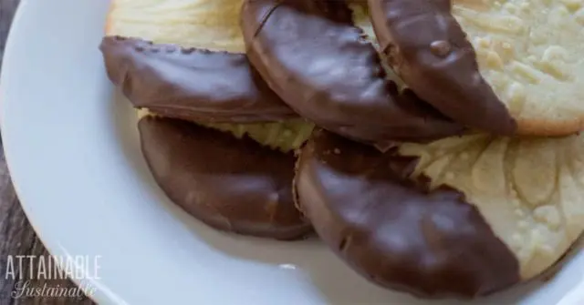 Chocolate Dipped Homemade Sugar Cookies on white plate