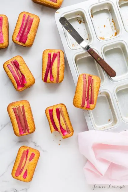 Mini Orange Rhubarb Cakes and mini cake tin
