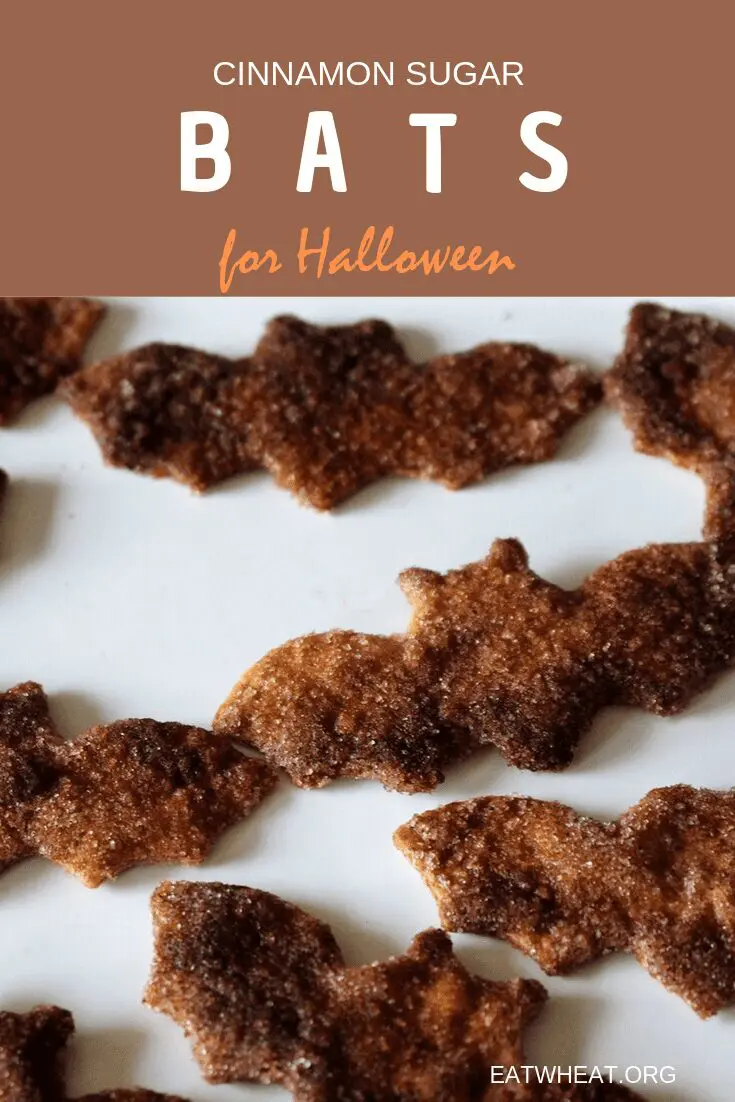 Cinnamon Sugar Bats.