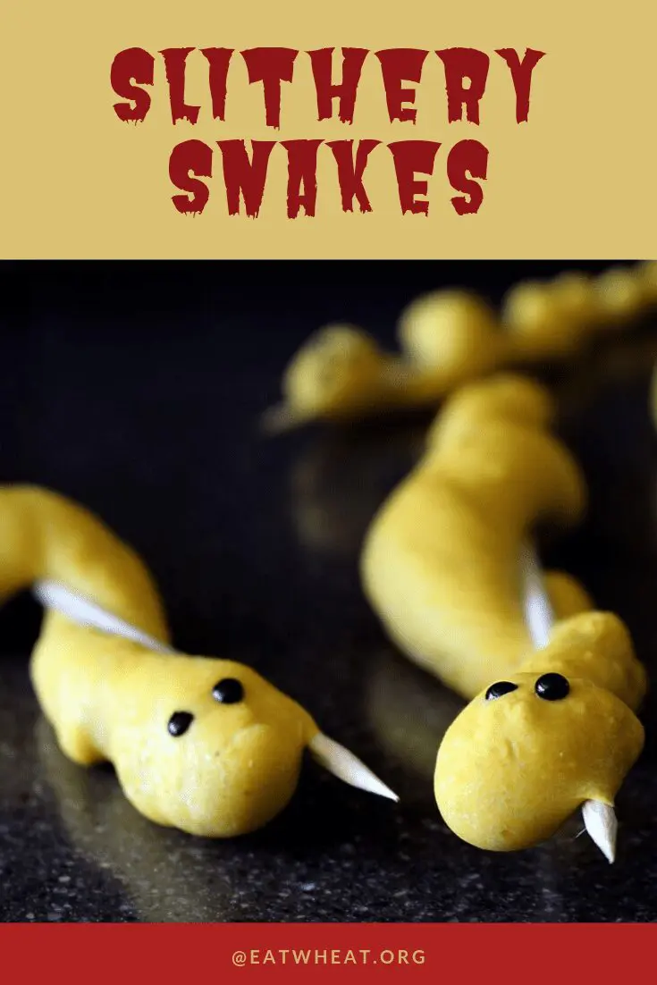 Slithery Snakes.