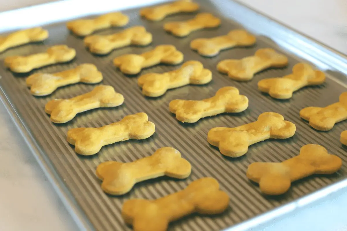 Image: Pumpkin and Peanut Butter Dog Treats.