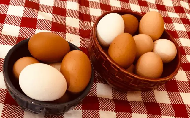 Photo: Eggs from family farm hens.