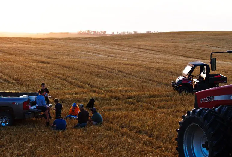 Image: Volk Farms.