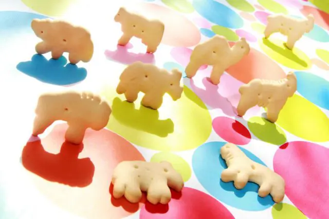 Animal crackers placed on a colorful background. Prepare for animal cracker facts!