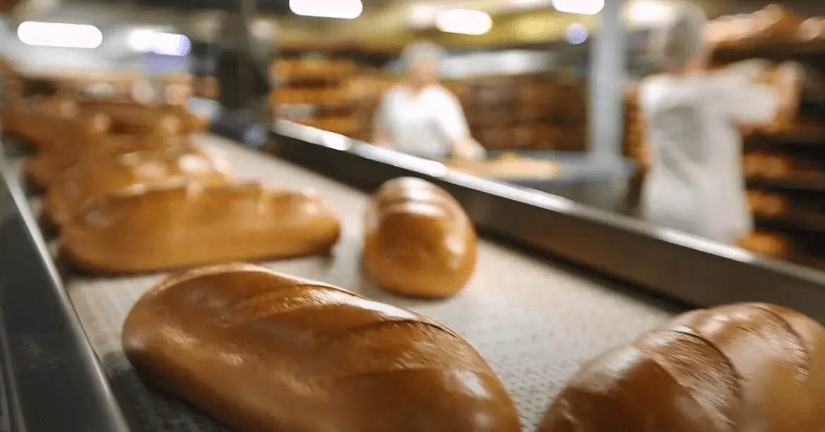 Image: Bread in a commercial bakery.