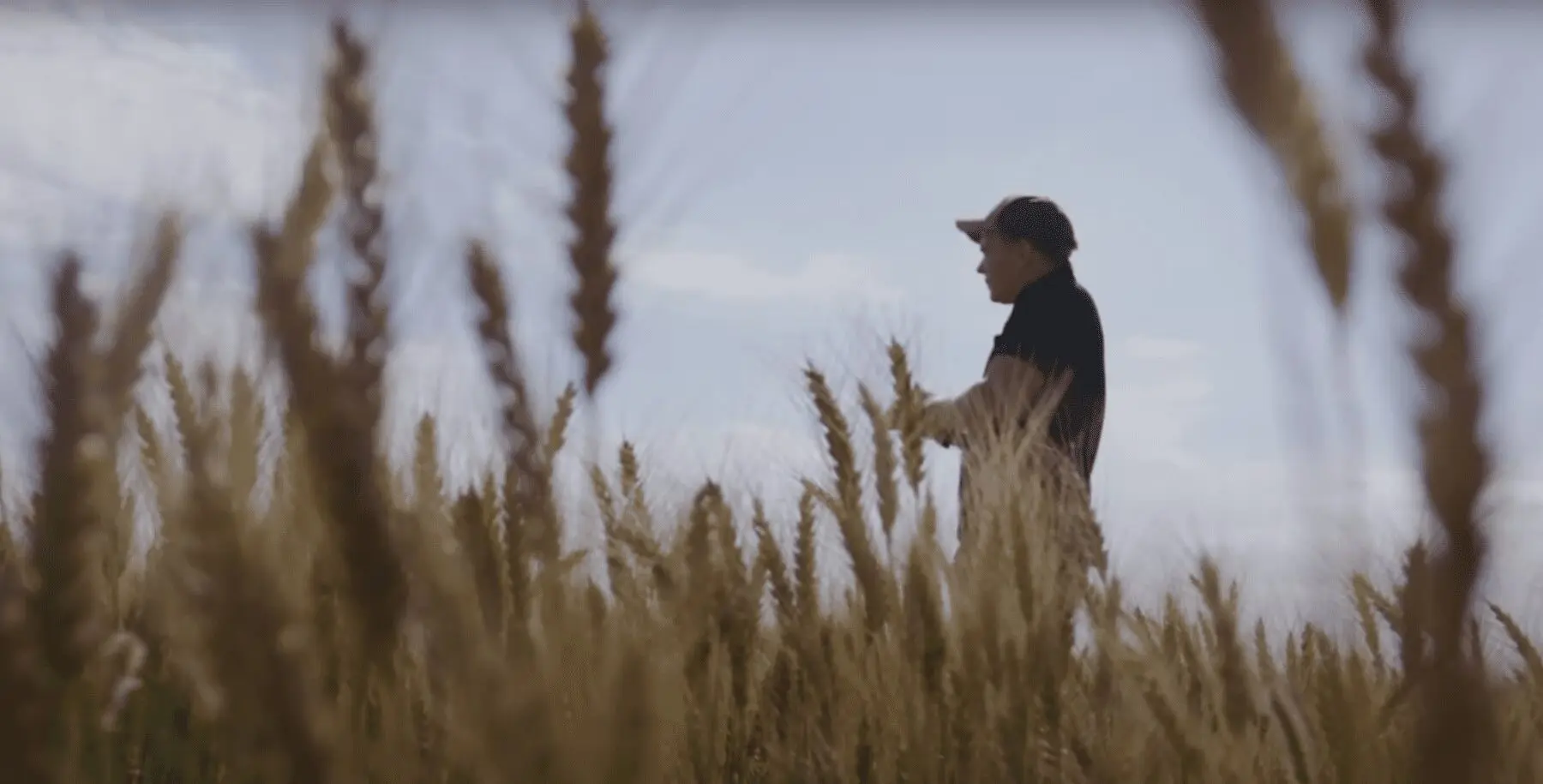 Image: Nick Jorgensen in wheat field.