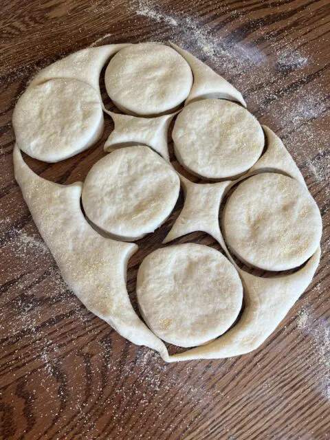 Homemade English Muffins after being patted out and cut into muffins. 