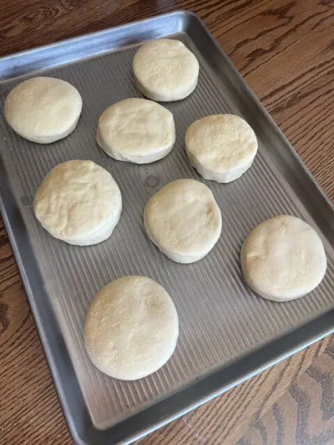 English Muffins rising on a baking sheet.