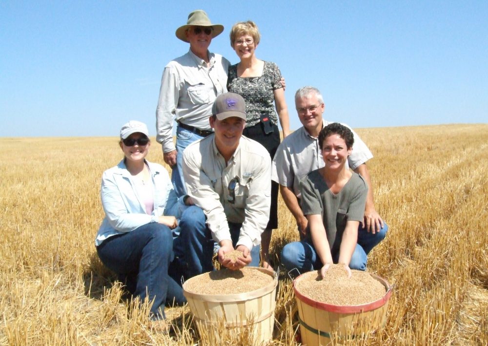The 25-billionth bushel of wheat cut in the state of Kansas