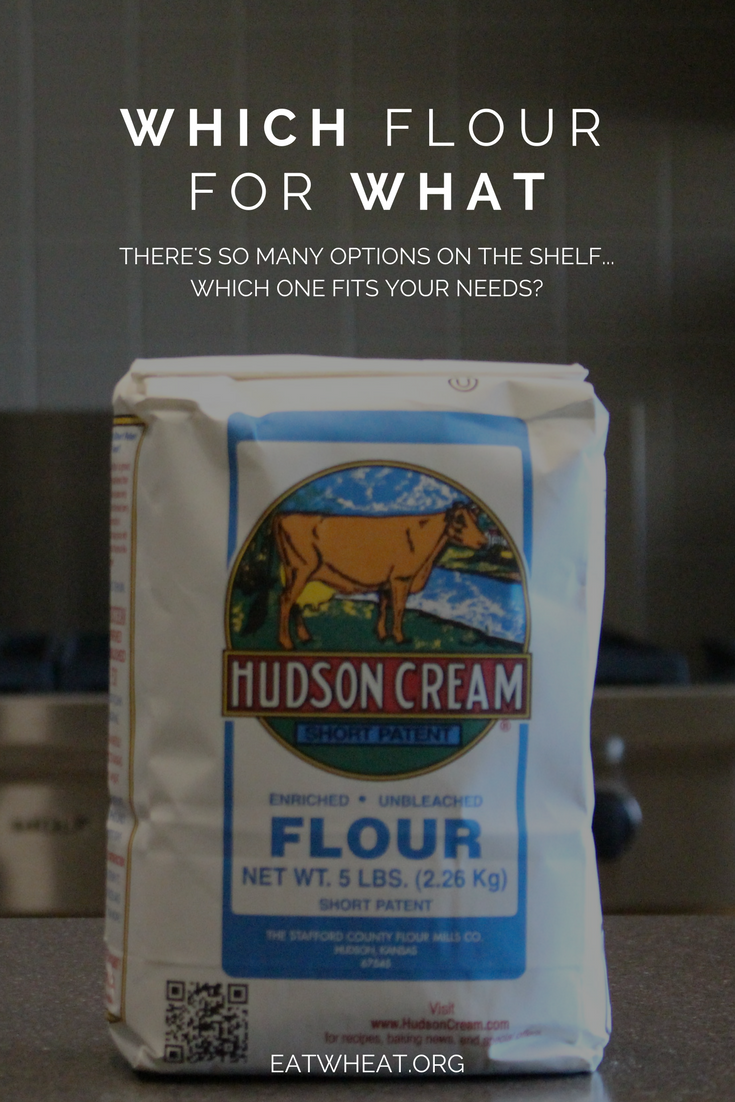 Whole wheat? Enriched flour? Which flour fits your needs the best?