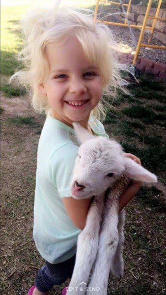 Paisley holding a baby lamb