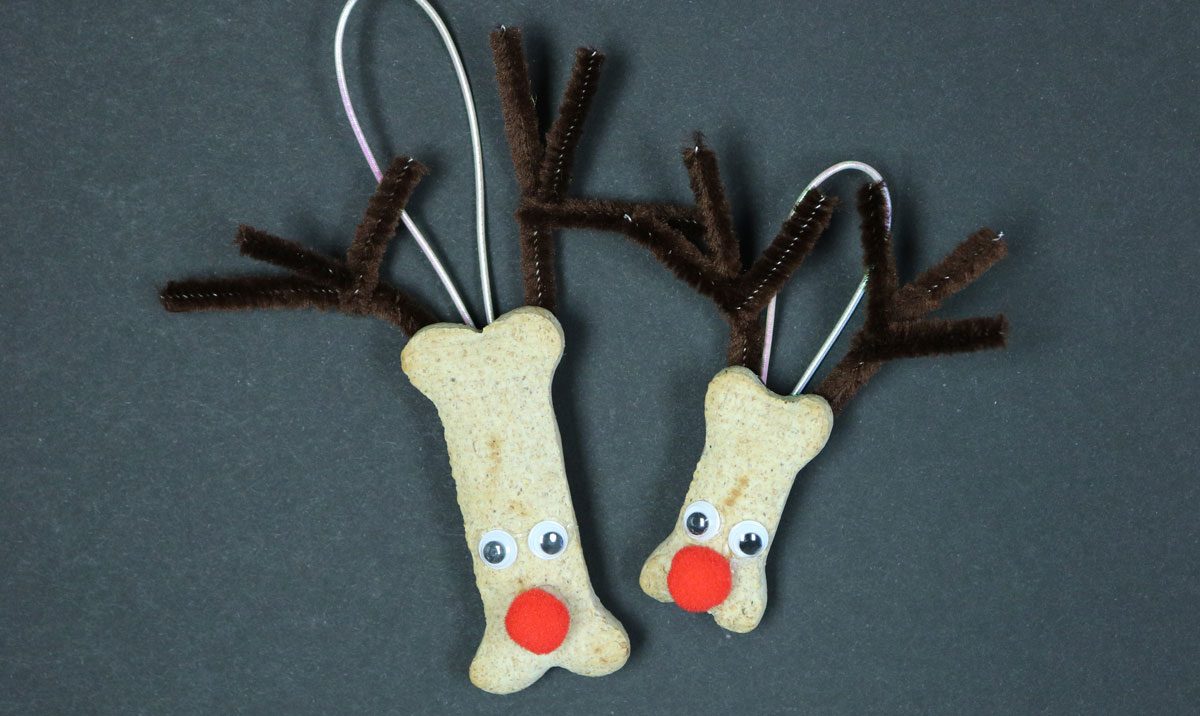 Make your own ornaments - DIY dog biscuit reindeer ornaments ready to hang on the Christmas Tree