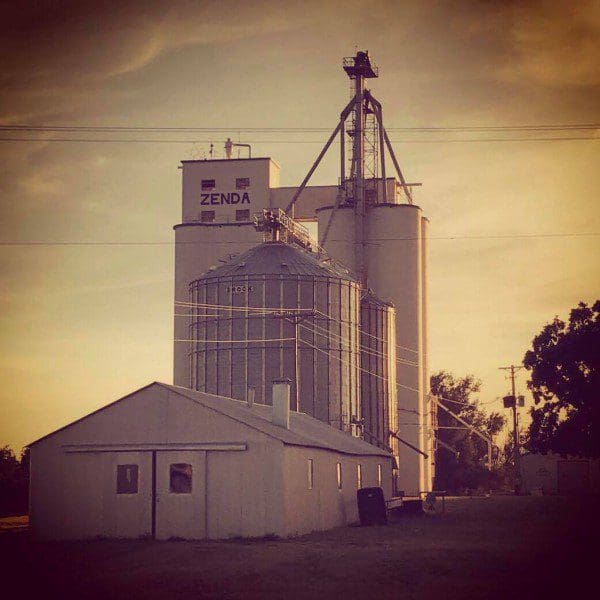 wheat farm in zenda kansas