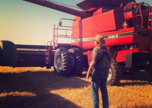 Mr. Westerman looks on as the family's wheat harvest continues on a beautiful day. His family has found the strength to fight cancer while remaining on the farm.