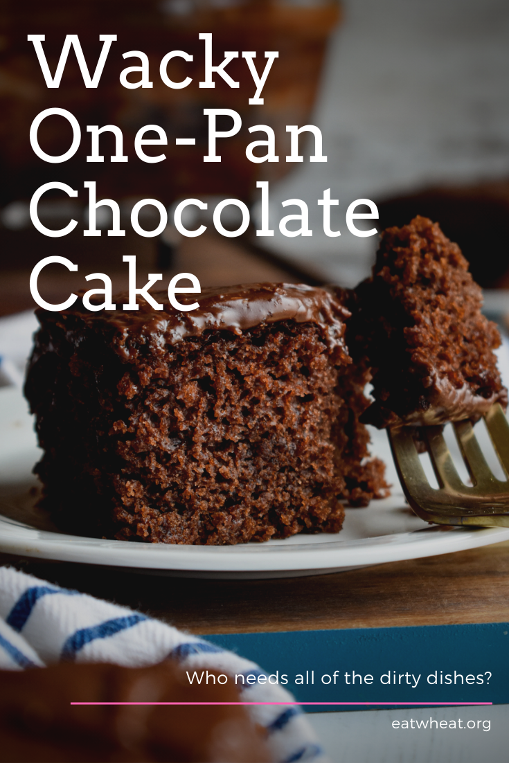Wacky One-Pan Chocolate Cake Pin