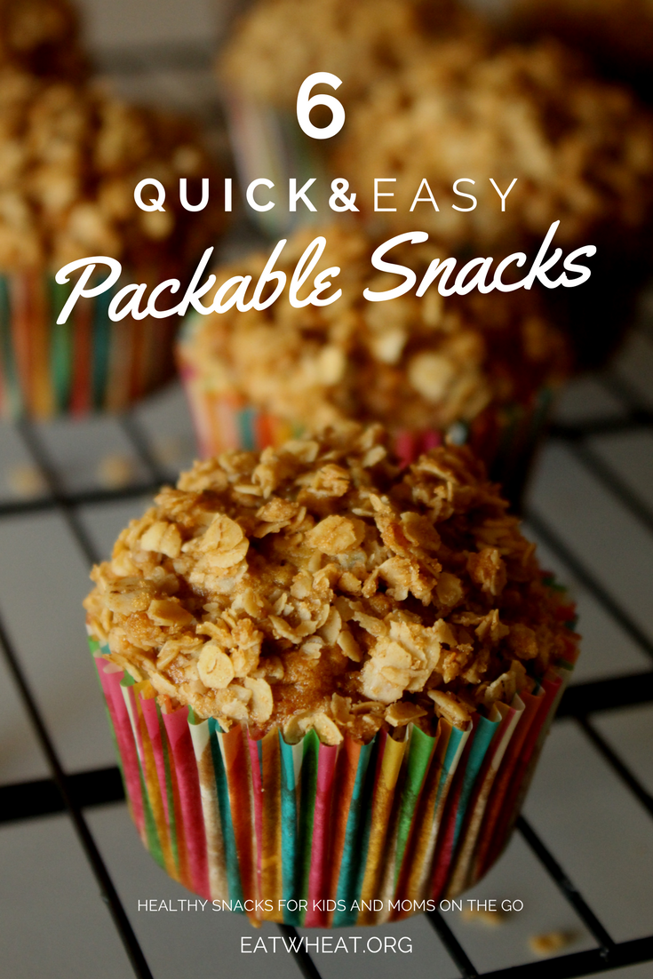 We know... Families are always on the go. That's why we've assembled some quick and easy packable snack recipes to help you avoid hangry tantrums!