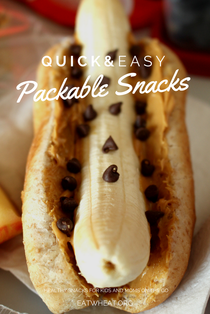 We know... Families are always on the go. That's why we've assembled some quick and easy packable snack recipes to help you avoid hangry tantrums!