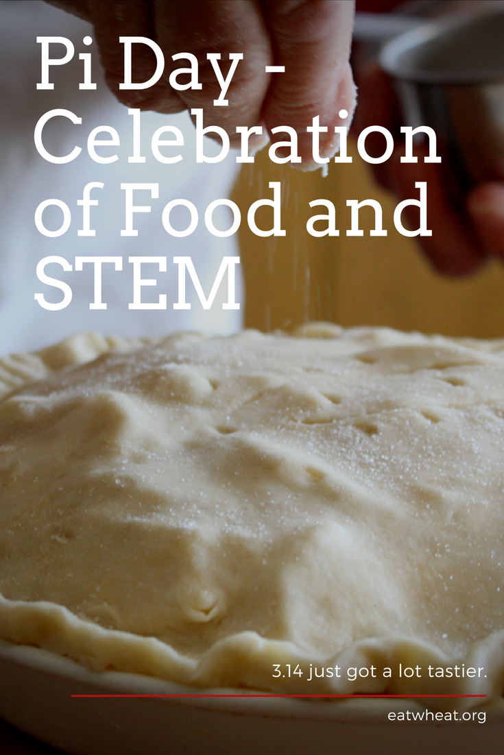 Pi Day is the perfect celebration of STEM-based learning and tasty, tasty food!