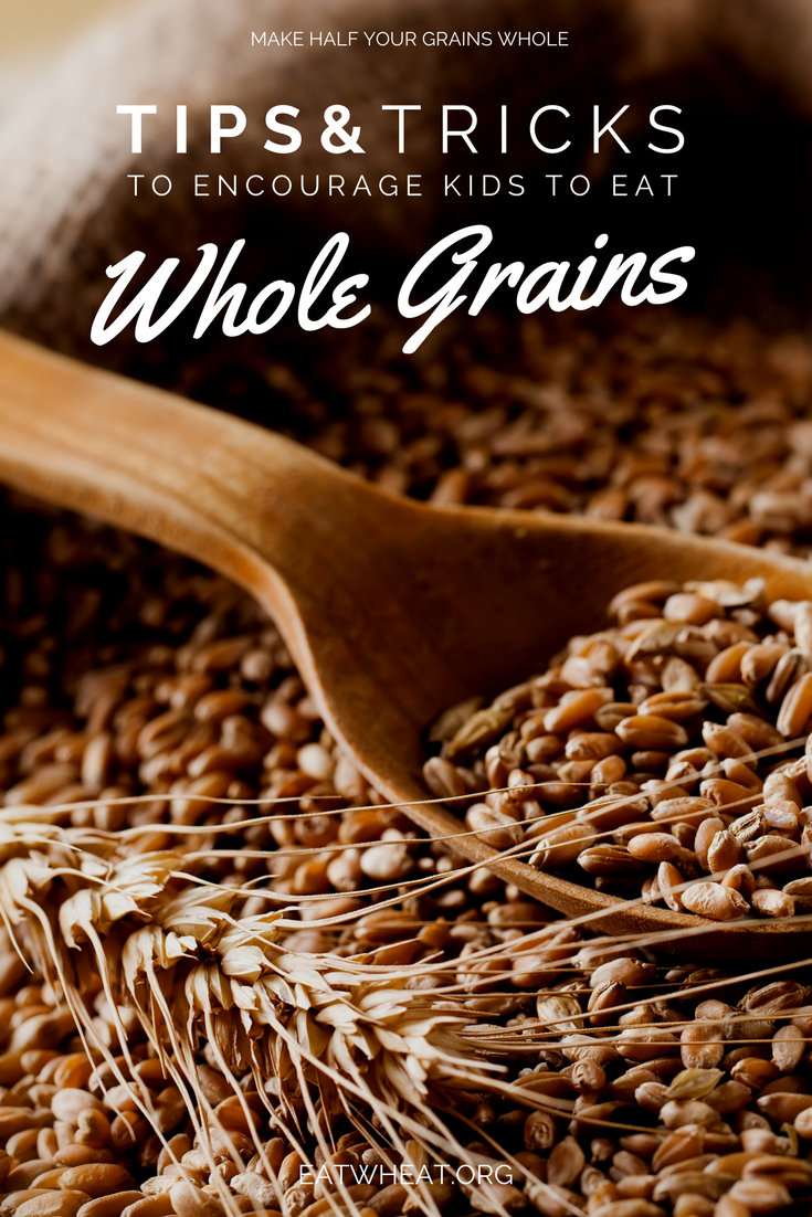 Are you wanting to introduce more whole grains into your family’s meals and snacks but are worried that your child(ren) won’t eat whole grains? Childhood is an important time to establish healthy eating patterns. Encouraging children to adopt healthy eating habits from a young age can have a positive impact on dietary habits later in life. Check out these tips and tricks from a Registered Dietitian!