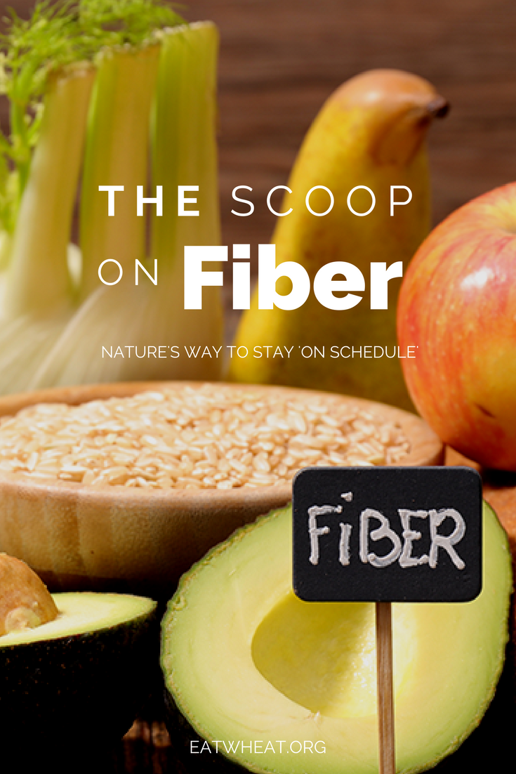 What is fiber? Why do you need it? How can you get more of it in your diet? We answer these questions and more on nature's favorite way to keep you 'on schedule.' 