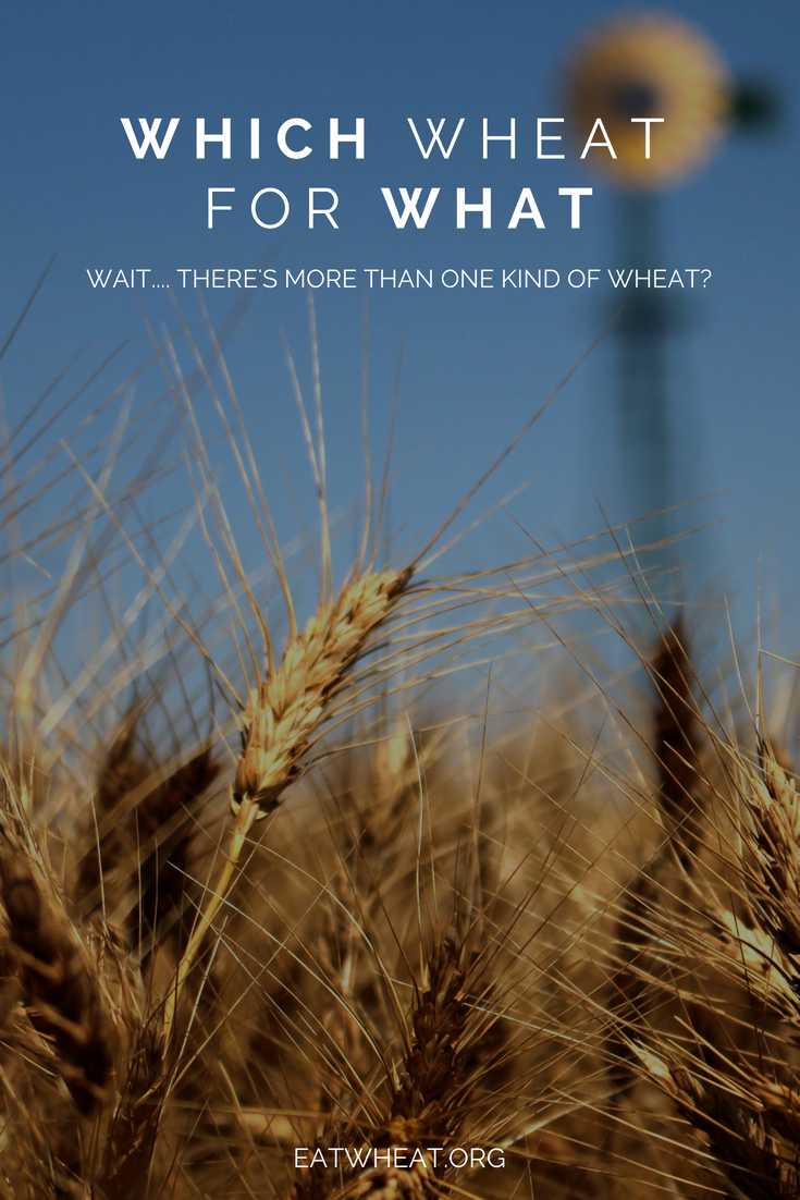 Wait, there's more than one kind of wheat? Take a look at the six classes of wheat and the different foods each class are suited for.