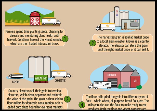 Image: Wheat's Journey from Farm to Table.
