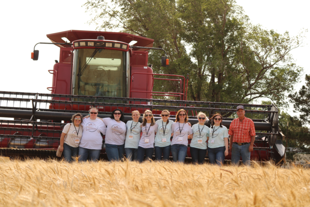 Photo: Food bloggers visit a Kansas wheat field during harvest.