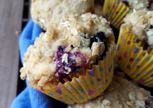 Photo: Blueberry muffins whole grain and protein rich.