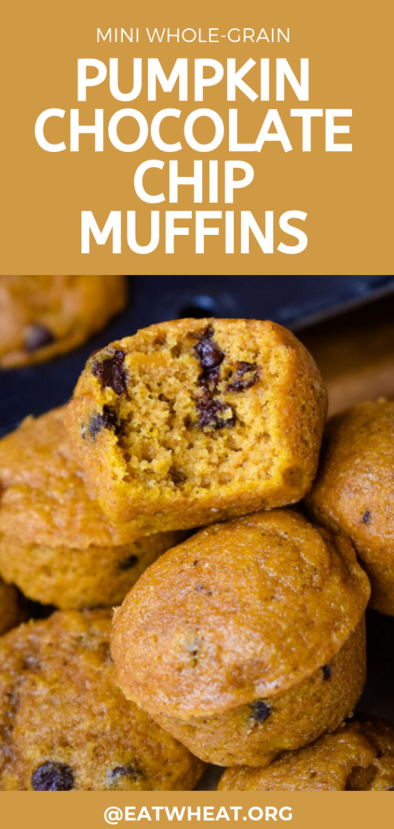 Photo: Pumpkin Chocolate Chip Mini Muffins.