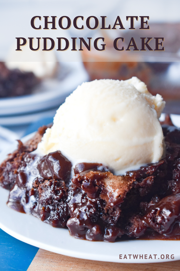 Image: Chocolate Pudding Cake.