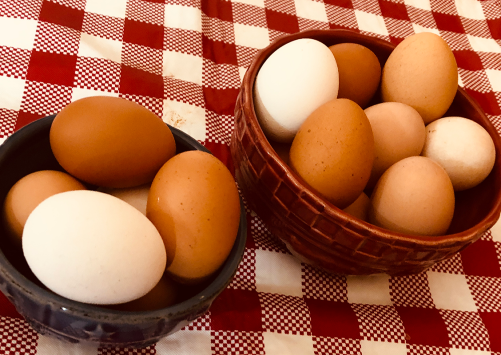 Photo: Eggs from family farm hens.
