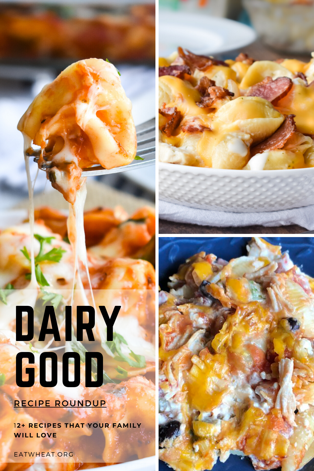 Dairy Month Recipes are here! From Cheesy Spinach Tortellini to Chicken, Bacon, Ranch Casserole, there are some amazing recipes.