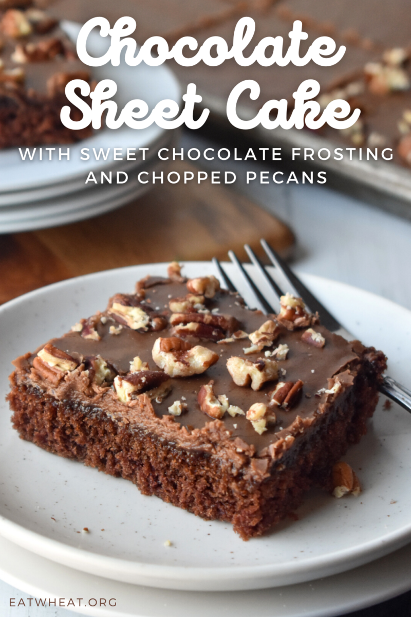 Image: Chocolate Sheet Cake with Sweet Chocolate Frosting and Chopped Pecans.