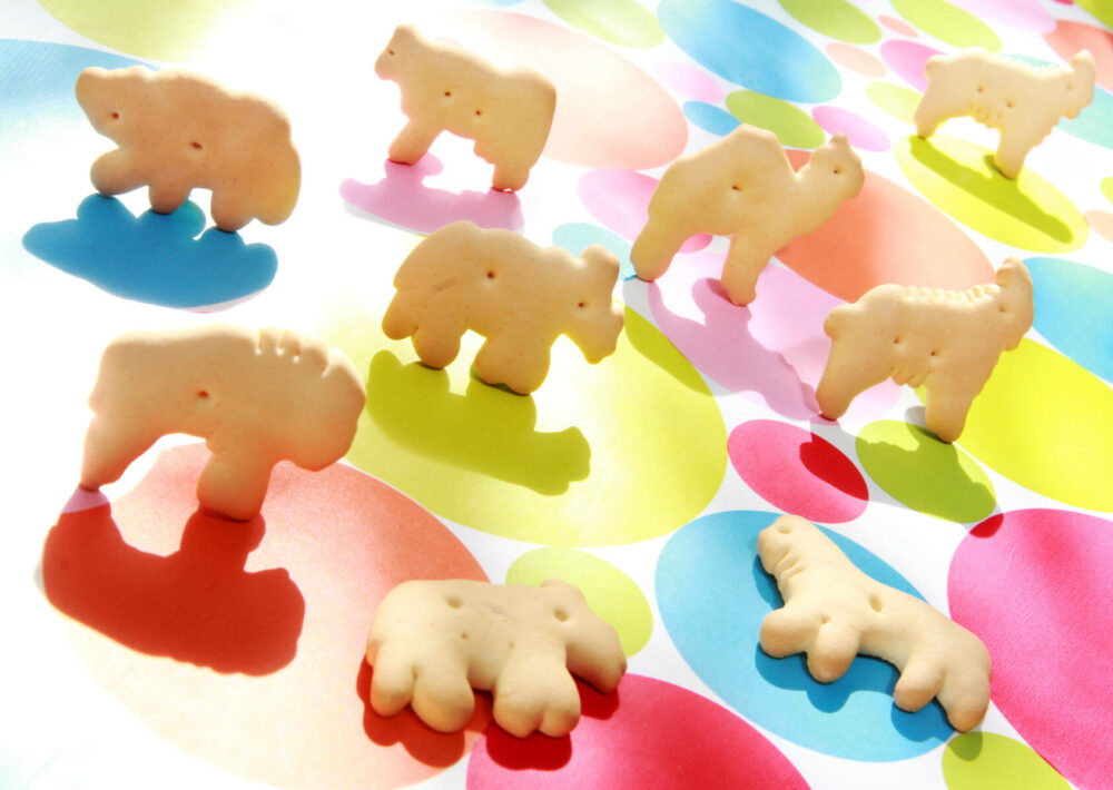 Animal crackers placed on a colorful background. Prepare for animal cracker facts!