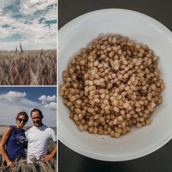 Image: Wade Bangerter wheat berries.