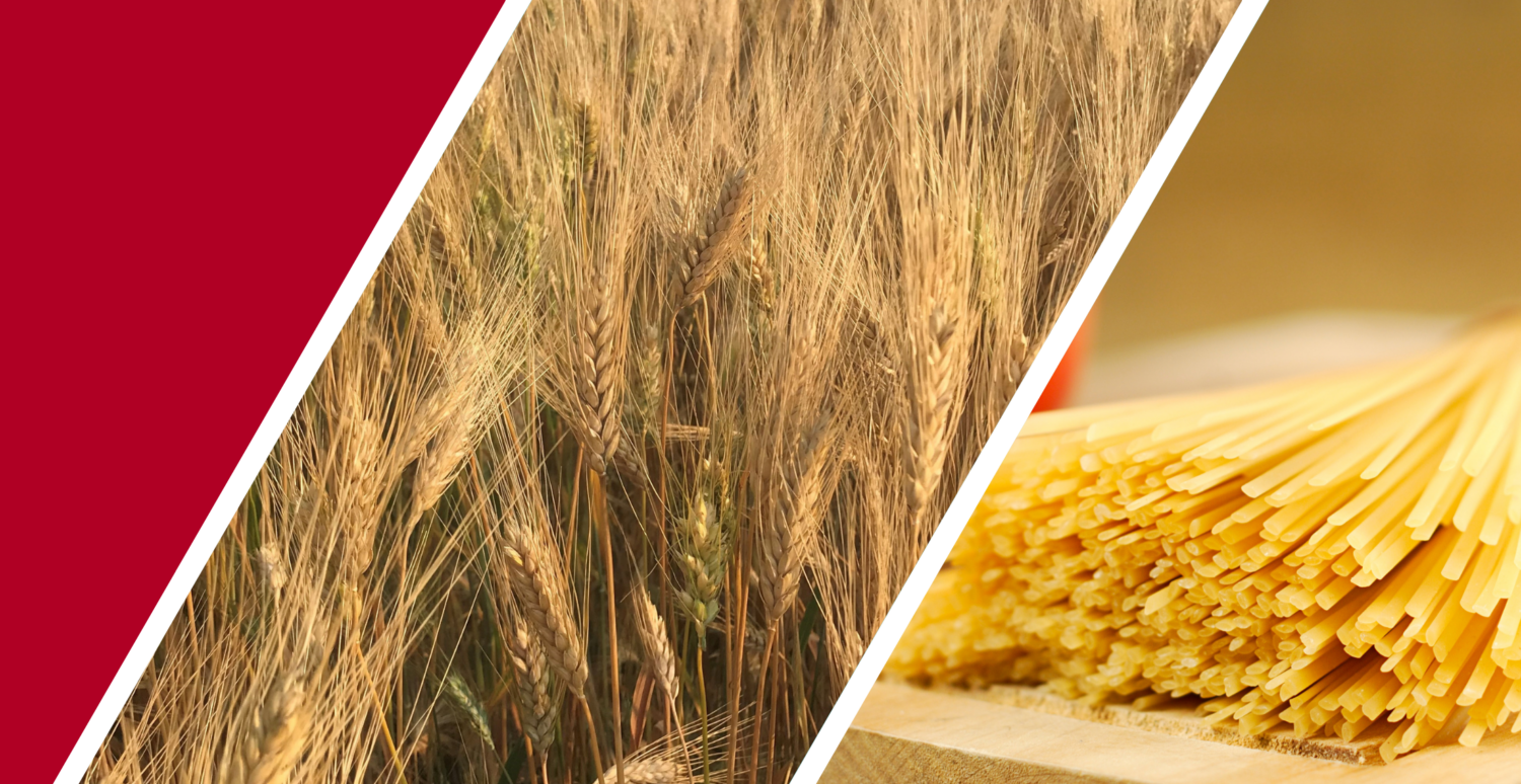 Durum Wheat Eat Wheat durum-wheat-eat-wheat
